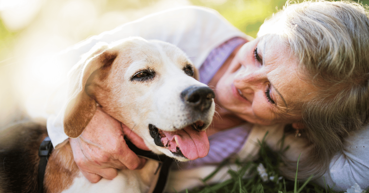 Fun-and-Engaging-Activities-for-Senior-Dogs