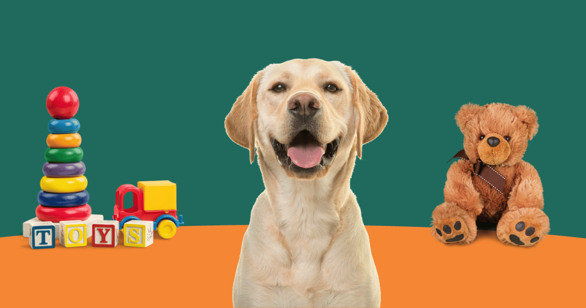 Interactive toys for dogs